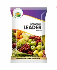 LEADER 