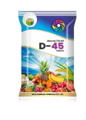 D-45 