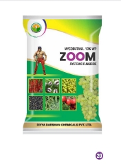 ZOOM 